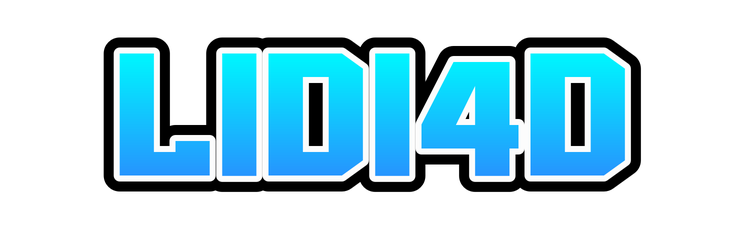 LIDI4D